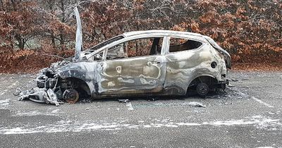 Ford Fiesta stolen from couple days before son's death found burnt out in garden centre