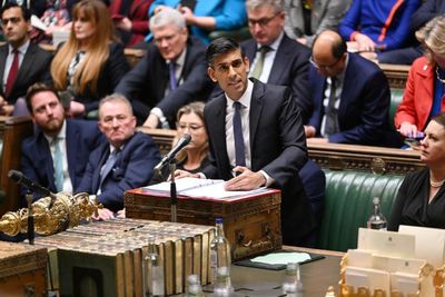 'Grave concerns' over Rishi Sunak five-point plan to deal with 'unfair' immigration