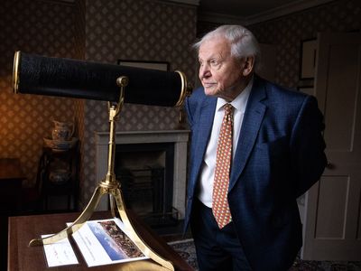 David Attenborough skips to the end of nature docs to ‘find out what happens’, producer claims