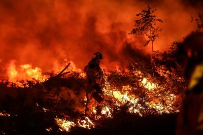 Europe's record 2022 wildfires sent carbon emissions soaring: monitors