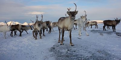 Arctic Report Card 2022: The Arctic is getting rainier and seasons are shifting, with broad disturbances for people, ecosystems and wildlife