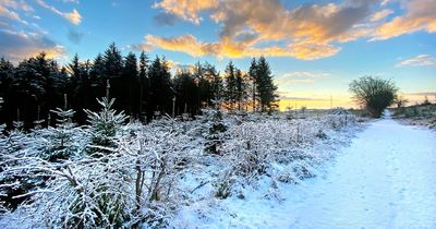 Northern Ireland weather: Met Office issues update on when wintry conditions will end