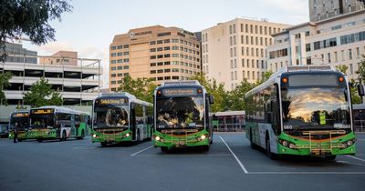 Light rail works disruption forces cuts to Canberra bus services