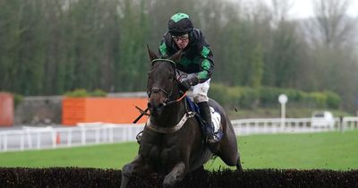 Repeat title bid for Welsh National hero Iwilldoit hangs in the balance