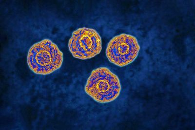 Protein discovery could herald vaccine