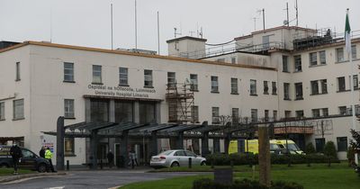 Man dies after falling from roof of shed on farm in Limerick