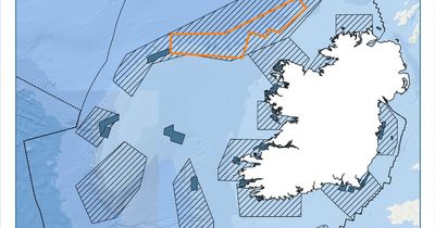 Ireland announces two new marine protected areas ahead of COP15 attendance