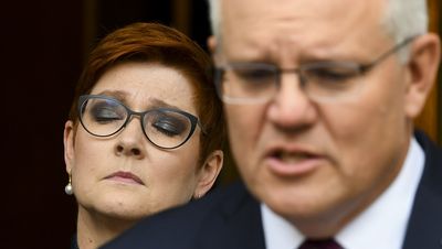 Scott Morrison faces a grilling over his role in creating the robodebt scheme