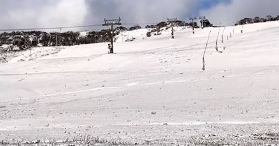 White Christmas? Perisher blanketed in snow halfway through December