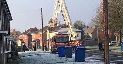 Firefighters called out to rescue seagull frozen to lamppost in freezing temperatures