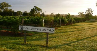 Alter Wines find a home at Emma's Cottage