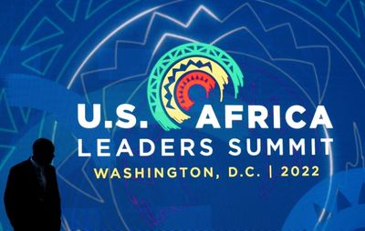 Youth of African diaspora consider climate solutions at US summit