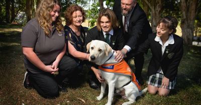 Kotara High farewells Labrador Axel, who will start intensive guide dog training