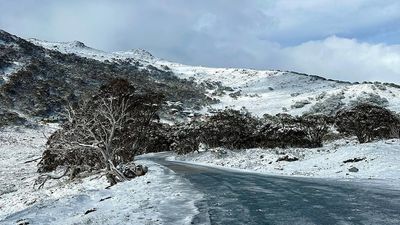 Snow, cold-snap in NSW Snowy Mountains has locals hoping for a white Christmas