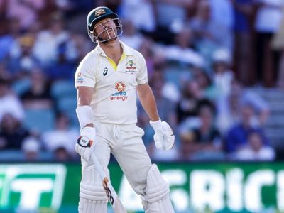 Labuschagne tips Warner Test revival