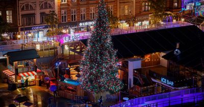 Nottinghamshire Live Christmas tree contest: we want to see the best Christmas trees in the city