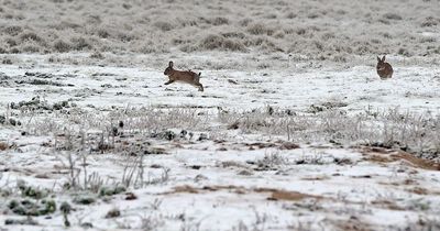 Wintry conditions to continue with sleet and snow still possible