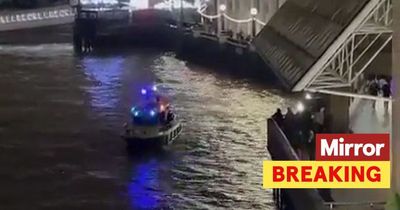 Man in 20s dies after plunging into River Thames in -3C cold near London Bridge