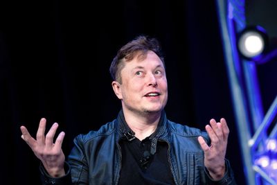 Elon Musk a "right-wing culture warrior"