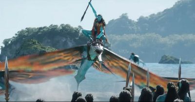 When is Avatar: The Way of Water coming out in cinemas?