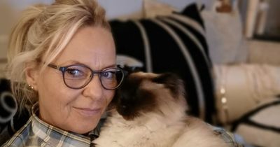 Chubby Scots cat 'almost sets house on fire' after toppling Christmas tree in hilarious clip