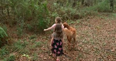 Hero dog protects missing young girls for hours after they get lost in woods