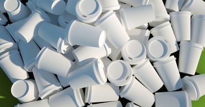 Single use plastics like polystyrene cups 'to be banned' in crackdown on waste