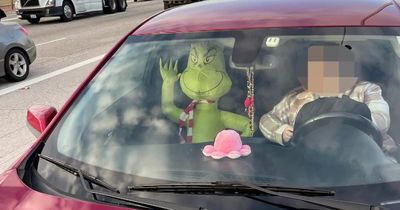 Driver stopped by police because she has life-size inflatable Grinch in her car