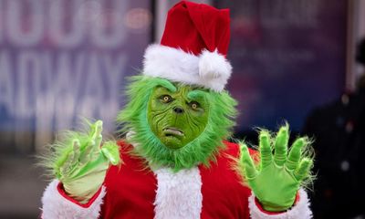 How the Grinch stole an HOV lane: US driver ticketed for doll passenger