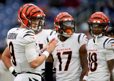 Bengals’ top PFF grades, stats and film breakdowns before Week 15