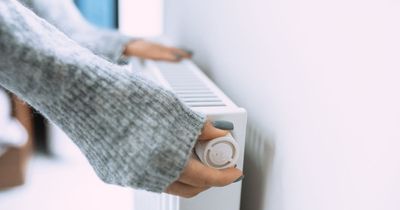 Radiator checks you 'must do' every year to save money and improve efficiency