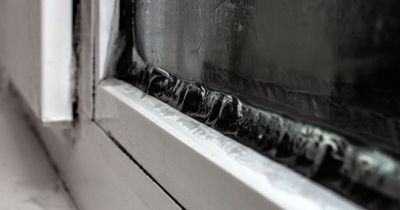 Experts issue signs of 'badly fitted windows' that bring condensation and mould