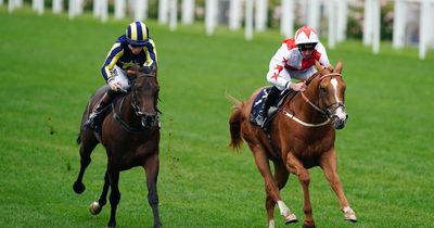 Classic contender Holloway Bay could prepare for 2,000 Guineas in Saudi Arabia