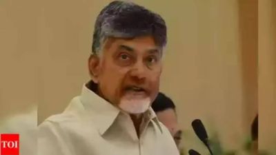 Andhra Pradesh CM Jagan Mohan Reddy planning early elections, says TDP leader Chandrababu Naidu