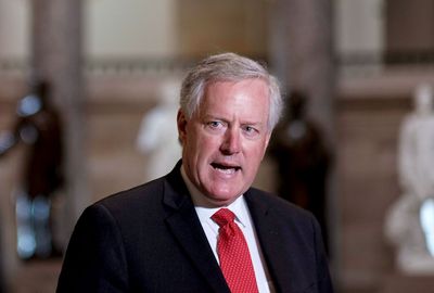 Meadows may be charged with voter fraud