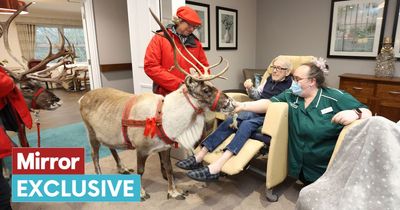 Care home residents get into Christmas spirit as they stroke and feed Santa's reindeer