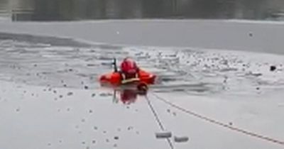 Firefighters save trapped dog after crashing through ice and into freezing lake