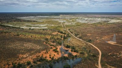 River Murray floods are causing havoc — but there's a silver lining for the environment