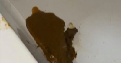 Woman forced to scoop poo out of bath after burglar broke in and took 'stinky dump'