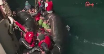 Harrowing moment desperate Channel victims cry for help before boat capsizes
