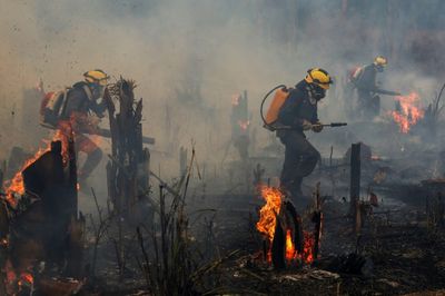 Brazil sees area burned by fire nearly double in November