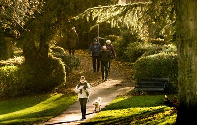 Daylight exposure helps ease better into sleep at night, study suggests