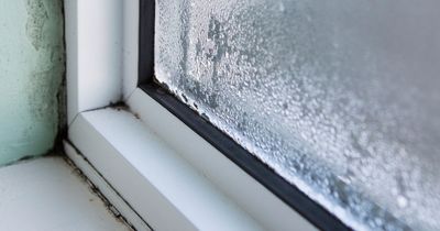 Asda shoppers swear by £1 gadget to reduce condensation and mould in homes