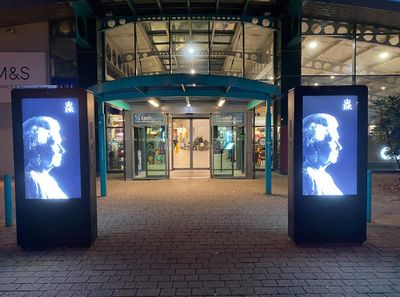 I thought mourning the Queen would be a personal choice. Then I saw the billboards