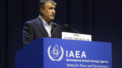 IAEA Delegation to Visit Tehran Soon