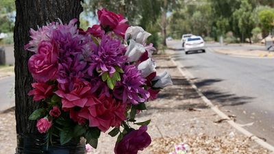 Jonah Multa jailed for assault of partner before she was hit by car at Alice Springs