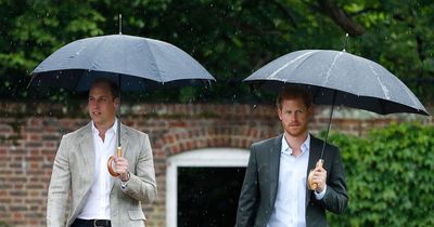 'Terrified' Harry says William 'screamed' at Megxit meeting while Queen 'quietly sat there'