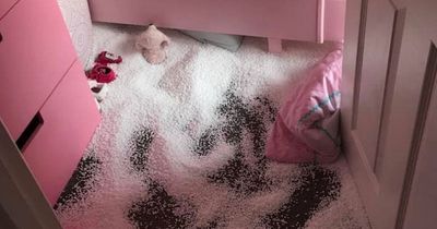 Mum mortified after Elf on the Shelf 'snow' prank backfires leaving her with huge mess