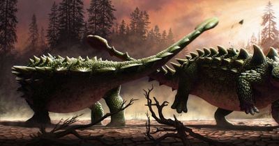 Dinosaur dubbed 'destroyers of shins' would use armoured tail to win fights with T-Rex