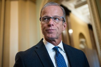 ESG funds plunge, underscoring need for SEC standards, group says - Roll Call